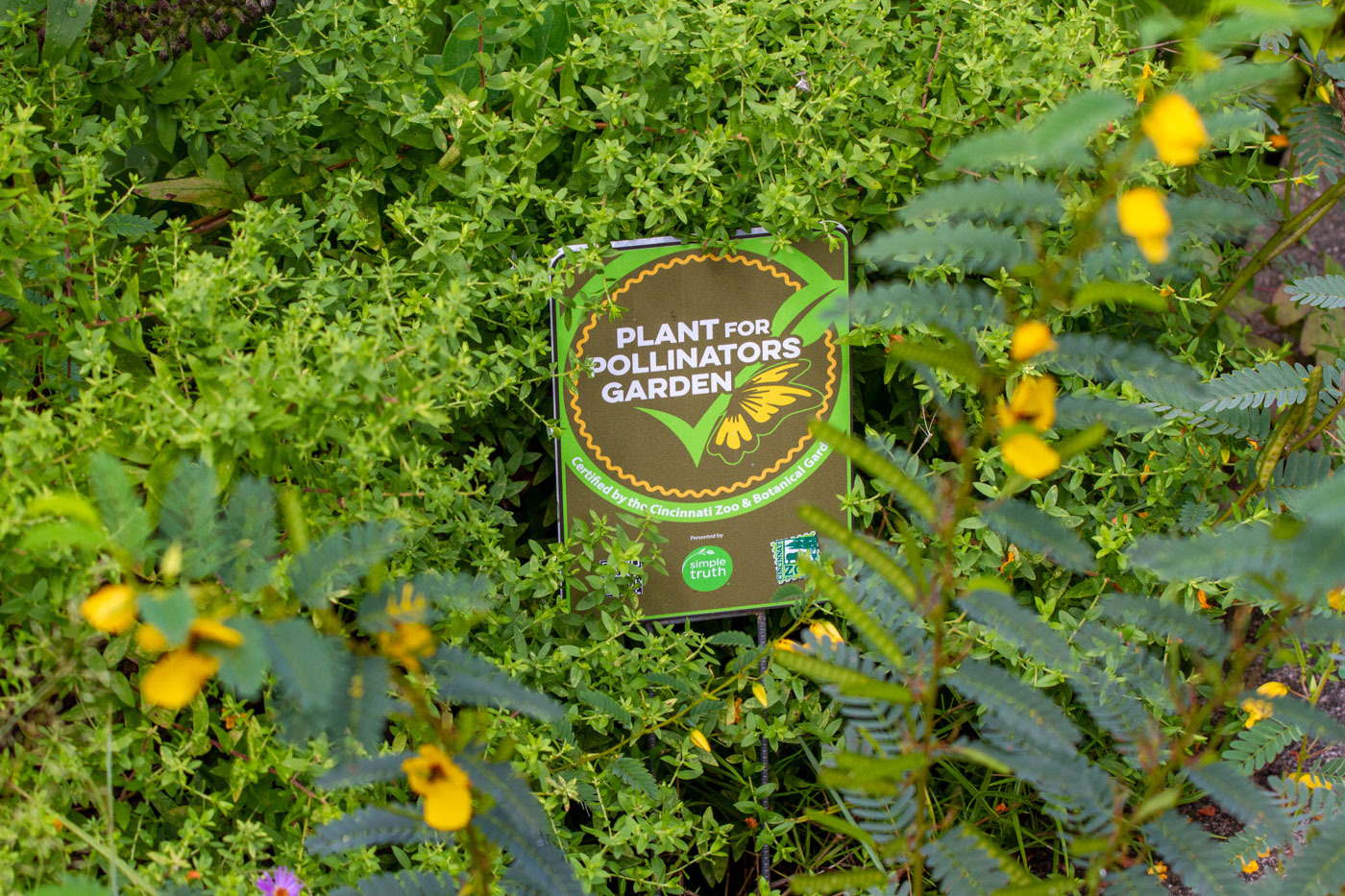 Grovedale Garden Plant for Pollinators sign