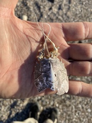 Blepharipoda occidentalis