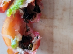 Helicoverpa armigera conferta