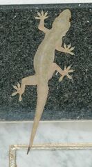 Hemidactylus flaviviridis