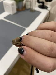 Osteopilus dominicensis