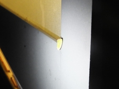 Earias pudicana
