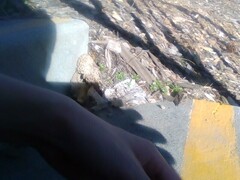 Morchella rufobrunnea