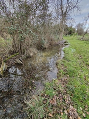 Trocheta