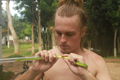 Trimeresurus erythrurus