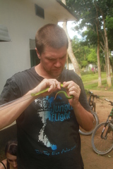 Trimeresurus erythrurus