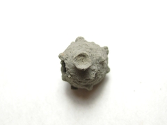Eumenes