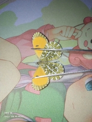 Anthocharis bambusarum