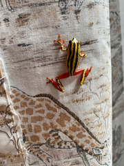 Hyperolius marmoratus taeniatus