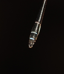 Drepanosticta rufostigma