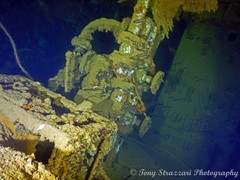 Cheilodipterus isostigma