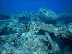 Ctenochaetus binotatus