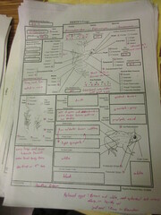 Fejervarya orissaensis