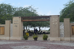 Hottentotta jayakari