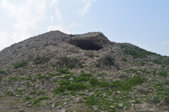 Hottentotta jayakari
