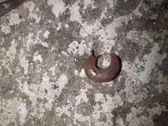 Ambigolimax valentianus