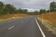 Themeda quadrivalvis