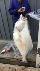 Hippoglossus stenolepis