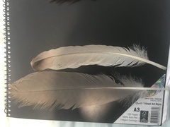 Cereopsis novaehollandiae