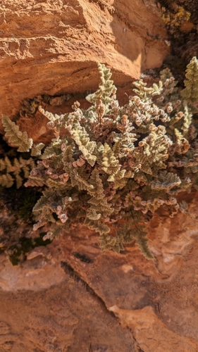 Hack Canyon Trail #28