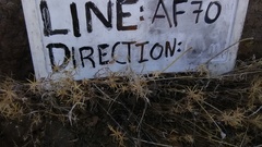 Rigiopappus leptocladus