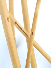 Phalaris arundinacea