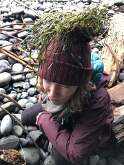 Zostera