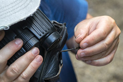 Corduliochlora borisi