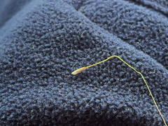 Austrostipa bigeniculata