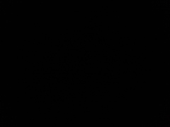 Noctiluca scintillans