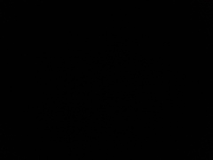 Noctiluca scintillans