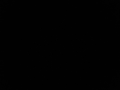 Noctiluca scintillans