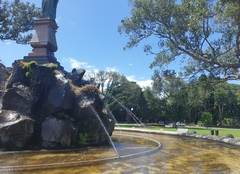 Hemicordulia armstrongi