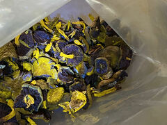 Cortinarius tinctorum