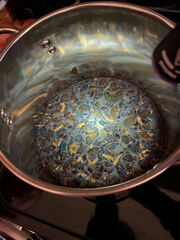 Cortinarius tinctorum