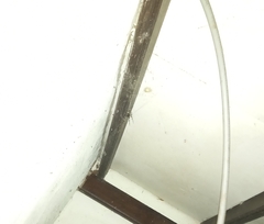 Nephilengys malabarensis