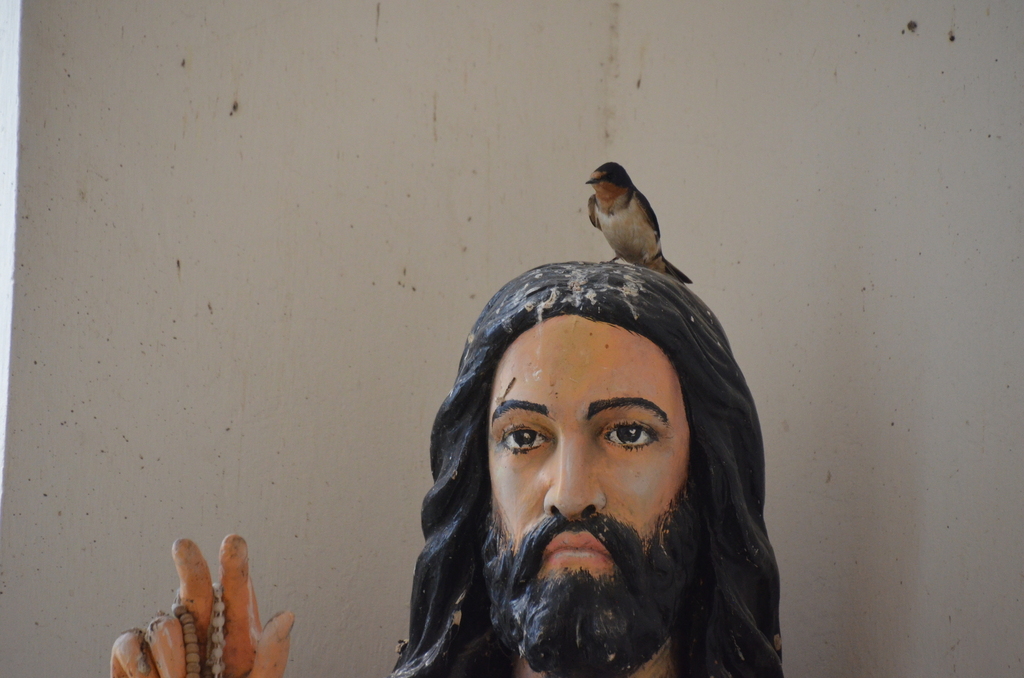 Barn Swallow from Tornquist, Provincia de Buenos Aires, Argentina on
