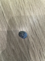 Nerita tessellata