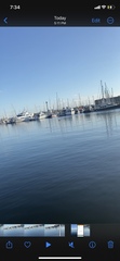 Delphinus
