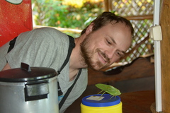 Steirodon