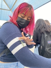 Stagmomantis limbata