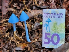 Entoloma hochstetteri