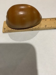 Lyncina