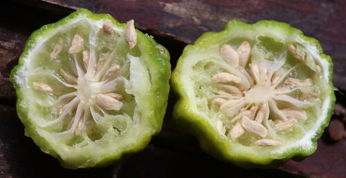 Citrus hystrix