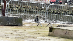 Phalacrocorax carbo