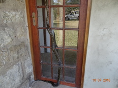 Python natalensis