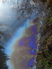 Iron Bacteria - Photo (c) augochlora, some rights reserved (CC BY-NC), uploaded by augochlora