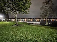 Pelecanus erythrorhynchos