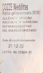 Crepipatella dilatata