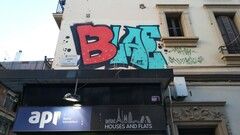 Kalanchoe × houghtonii